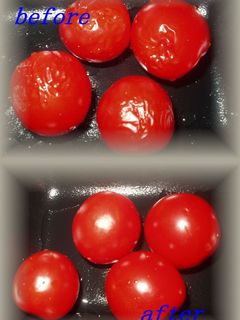裏技☆プチトマト復活大作戦 (^^;-レシピのメイン写真