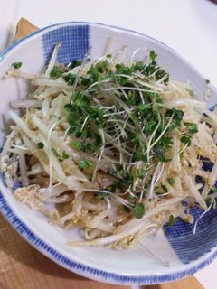 シャキッともやし炒め ~タラコと~-レシピのメイン写真