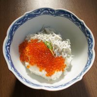 基本からアレンジまで！思わずつくりたくなる「しらす いくら」の