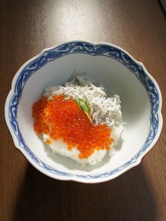 しらすといくら しらすといくら しらすといくら 生シラス しらす 瀬戸内海産 お刺身