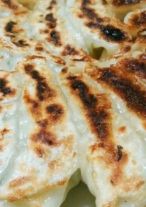 犬ご飯　ジューシー餃子-レシピのメイン写真