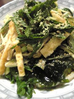 冷やしきつねうどん-レシピのメイン写真