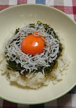メカブしらすのヘルシー丼-レシピのメイン写真