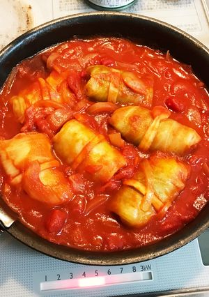 ロールキャベツのトマト煮込み-レシピのメイン写真