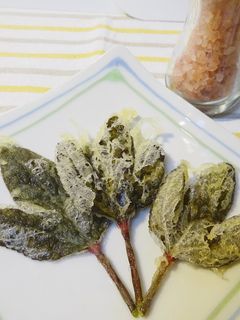 ローゼルの葉の天ぷら-レシピのメイン写真