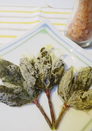 ローゼルの葉の天ぷら-レシピのメイン写真