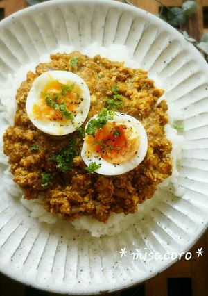 mカレー粉不要！豆腐＆ひき肉ドライカレー-レシピのメイン写真