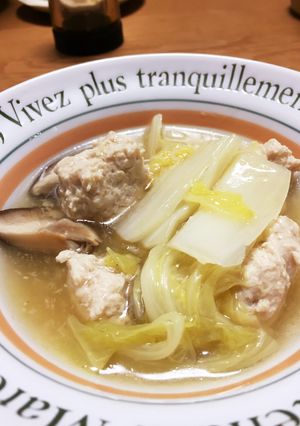 アツアツ 白菜と鶏団子の生姜あん-レシピのメイン写真