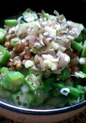 ナスそうめん★withねばねば♪-レシピのメイン写真