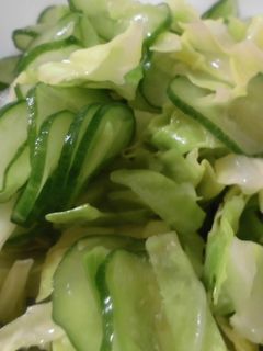 きゅうりとキャベツの酢の物-レシピのメイン写真
