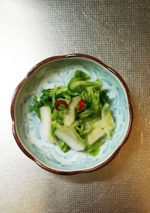 ささっと作る白菜の浅漬け♪-レシピのメイン写真