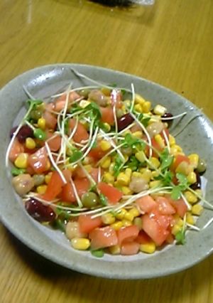 簡単ヘルシー♪豆サラダ-レシピのメイン写真