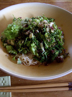 夏の生野菜そうめん-レシピのメイン写真
