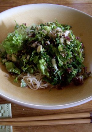 夏の生野菜そうめん-レシピのメイン写真