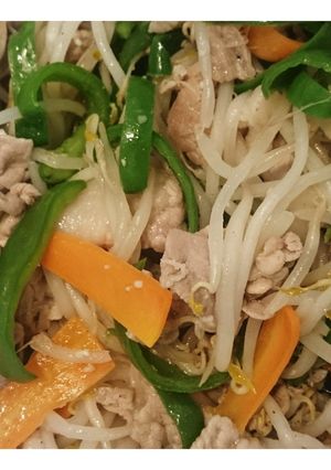 塩ニンニクレモンの肉野菜炒め-レシピのメイン写真