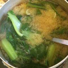 青梗菜の味噌汁-レシピのメイン写真