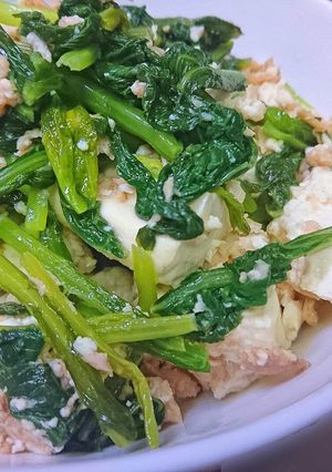 お父さんの簡単からし菜炒め-レシピのメイン写真