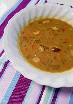 お野菜たっぷりスープカレー♪-レシピのメイン写真