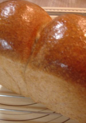 自家製酵母で胚芽食パン-レシピのメイン写真
