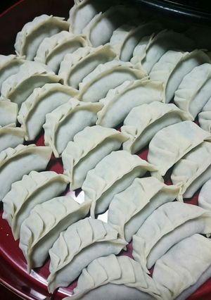 うちの餃子-レシピのメイン写真