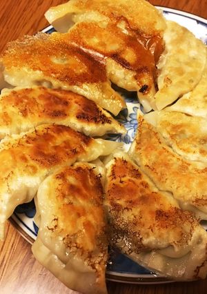 とり皮と玉ねぎのスパイシー餃子-レシピのメイン写真