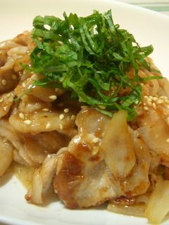豚と玉ねぎの梅肉炒め☆-レシピのメイン写真