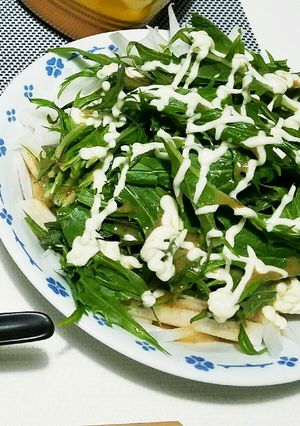 簡単(´∂υ∂`)大根と水菜のサラダ-レシピのメイン写真