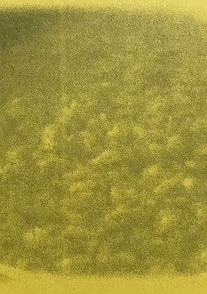 茶がゆ-レシピのメイン写真