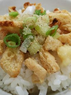 カリカリお揚げ☆のっけ丼(混ぜご飯)-レシピのメイン写真