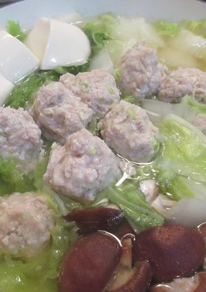 鶏団子鍋~塩~-レシピのメイン写真