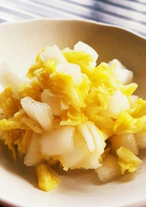 白菜のわさび漬け♥-レシピのメイン写真