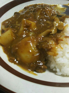 鰹だし広がる簡単和風カレー-レシピのメイン写真