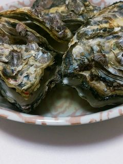 超~簡単にレンジで蒸し牡蠣☆ミ-レシピのメイン写真