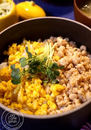 鶏胸肉de♡混ぜるだけ最強の鶏そぼろ丼！-レシピのメイン写真