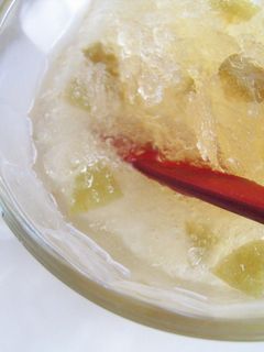 梅酒のシャーベット-レシピのメイン写真