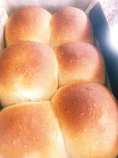 豆乳とオリーブオイルのふわふわパン-レシピのメイン写真