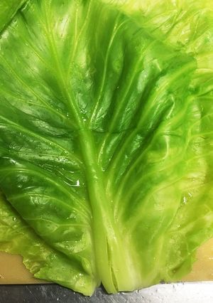 ロールキャベツ用のキャベツの茹で方-レシピのメイン写真