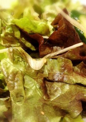焼肉屋さんのチョレギ風サラダ-レシピのメイン写真