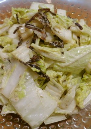生白菜のサラダ-レシピのメイン写真