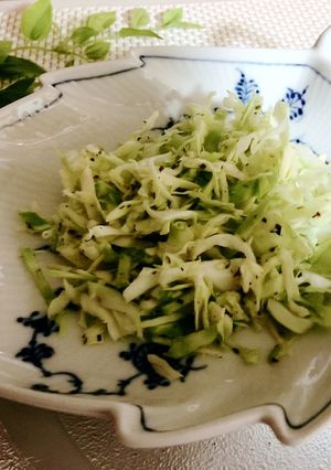 キャベツの簡単サラダ-レシピのメイン写真