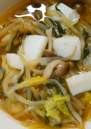 イカと白菜とニラ もやしのコンソメ醤油煮-レシピのメイン写真