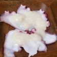 蒸しタコの甘麹合え