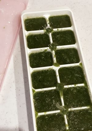 ほうれん草鳥ささみ 離乳食-レシピのメイン写真