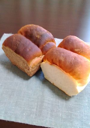 いつもの食パン（ノーマル、ココア）-レシピのメイン写真