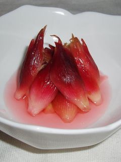 みょうがの甘酢漬け-レシピのメイン写真