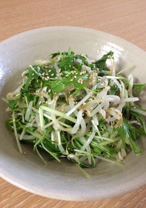 レンジで一発！もやしと水菜のナムル-レシピのメイン写真