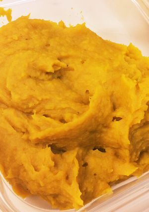 保存可★ホテルの味★かぼちゃペースト-レシピのメイン写真