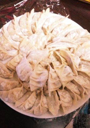 一人前50円？！節約もやし鶏むね餃子♪-レシピのメイン写真