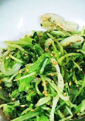 白菜と豆苗のナムル-レシピのメイン写真