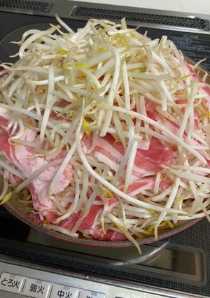 白菜高いから節約！もやしと豚肉の重ね蒸し-レシピのメイン写真